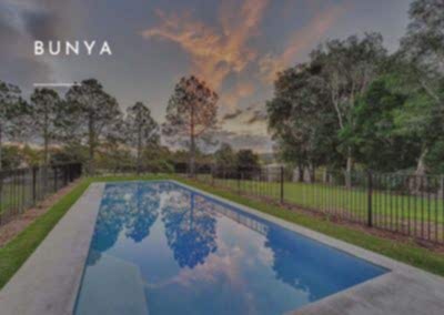 Bunya