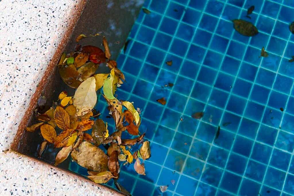 How to Keep Your Pool Clean During Autumn: Essential Maintenance Tips