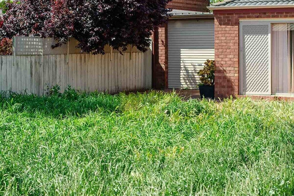 The Hidden Costs of Neglecting Your Backyard: Brisbane Property Devaluation