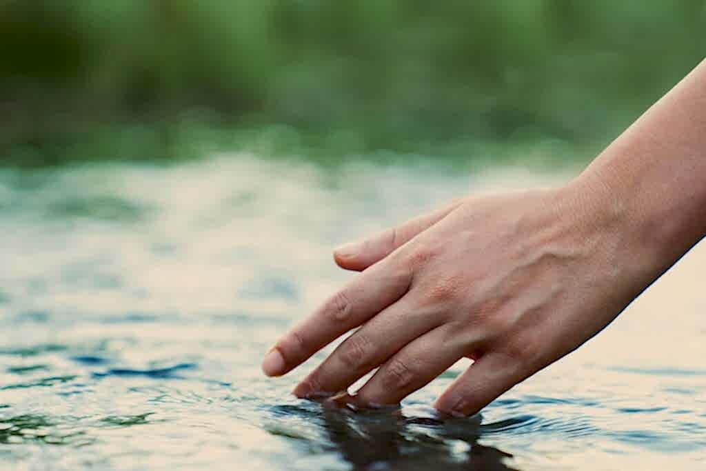 The Science Behind Water Therapy and Stress Reduction