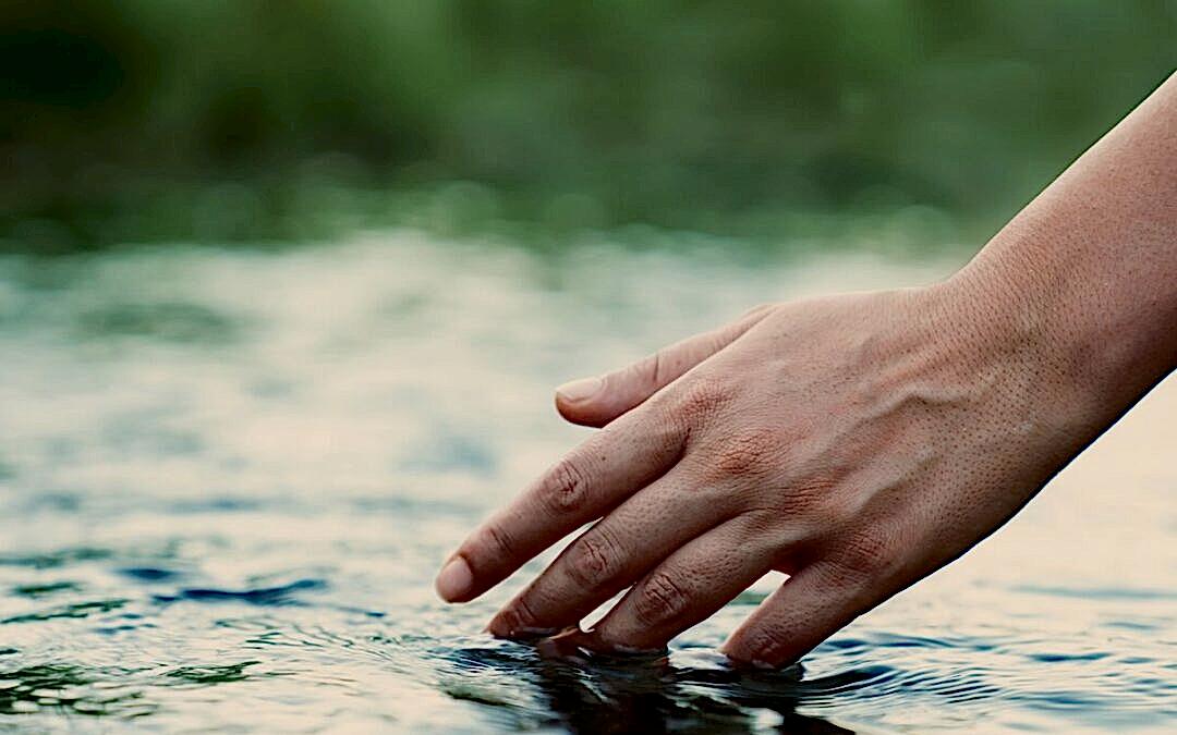 The Science Behind Water Therapy and Stress Reduction