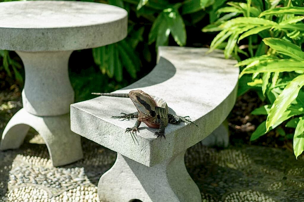 Creating Wildlife-Friendly Outdoor Spaces That Still Look Luxurious