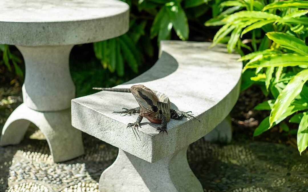 Creating Wildlife-Friendly Outdoor Spaces That Still Look Luxurious